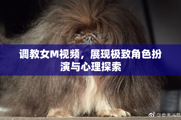 调教女M视频，展现极致角色扮演与心理探索
