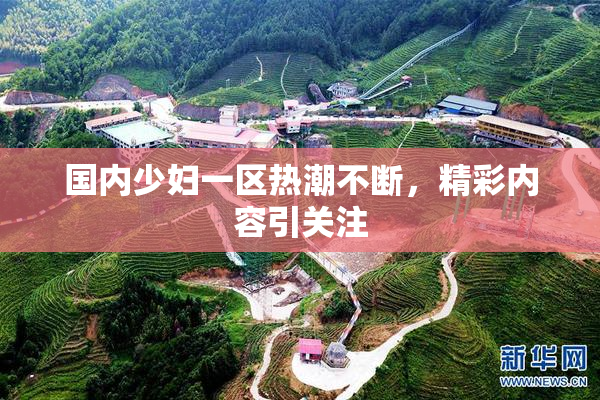 国内少妇一区热潮不断，精彩内容引关注