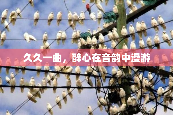 久久一曲，醉心在音韵中漫游