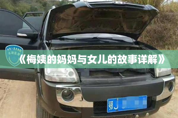 《梅姨的妈妈与女儿的故事详解》