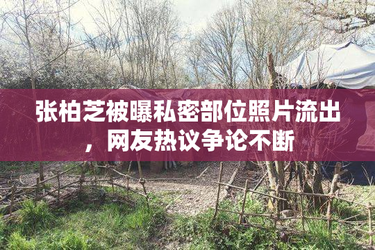 张柏芝被曝私密部位照片流出，网友热议争论不断