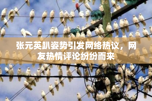 张元英趴姿势引发网络热议，网友热情评论纷纷而来