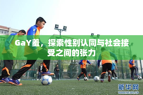 GaY羞，探索性别认同与社会接受之间的张力