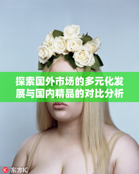探索国外市场的多元化发展与国内精品的对比分析