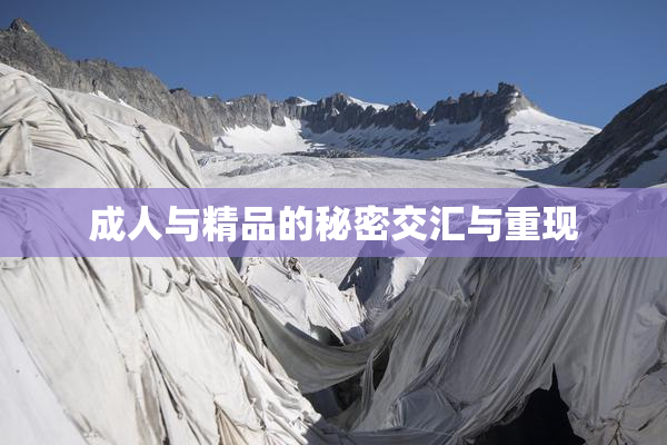成人与精品的秘密交汇与重现