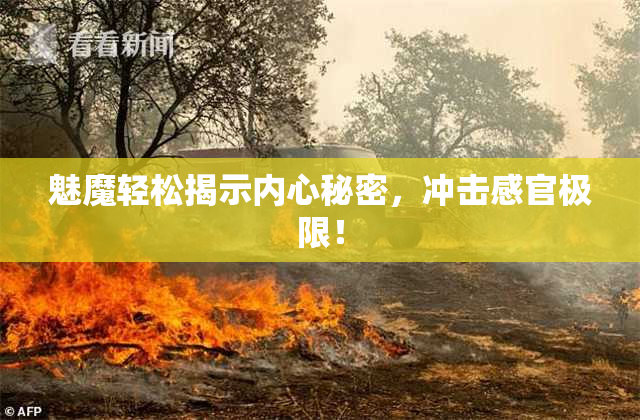魅魔轻松揭示内心秘密，冲击感官极限！