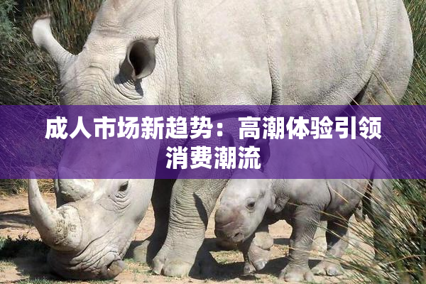 成人市场新趋势：高潮体验引领消费潮流
