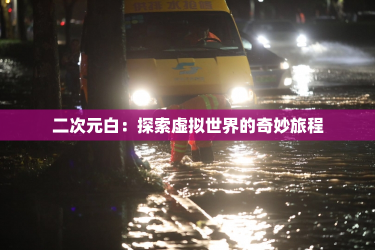 二次元白：探索虚拟世界的奇妙旅程
