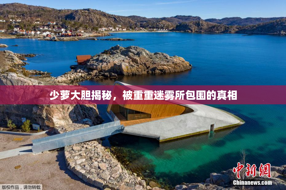 少萝大胆揭秘，被重重迷雾所包围的真相