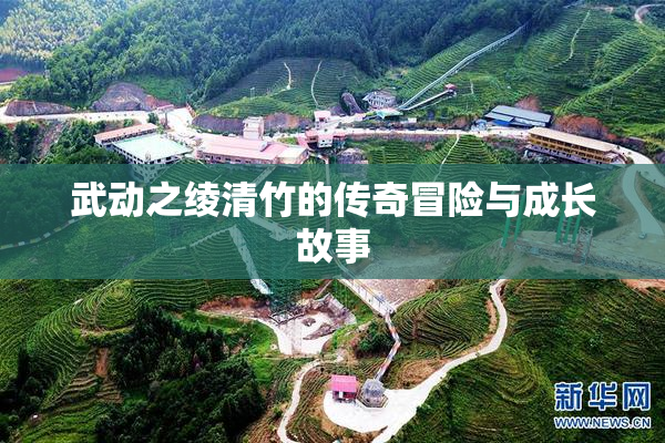 武动之绫清竹的传奇冒险与成长故事