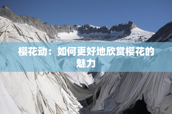 樱花动：如何更好地欣赏樱花的魅力
