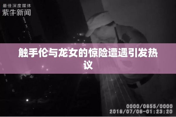 触手伦与龙女的惊险遭遇引发热议