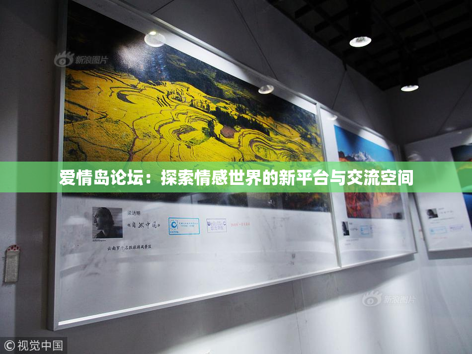 爱情岛论坛：探索情感世界的新平台与交流空间