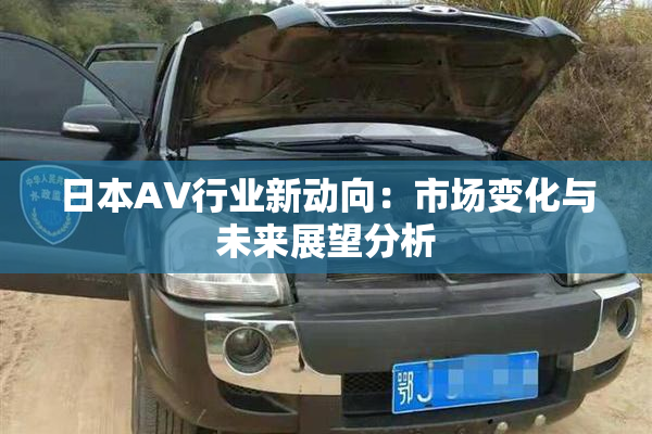 日本AV行业新动向：市场变化与未来展望分析