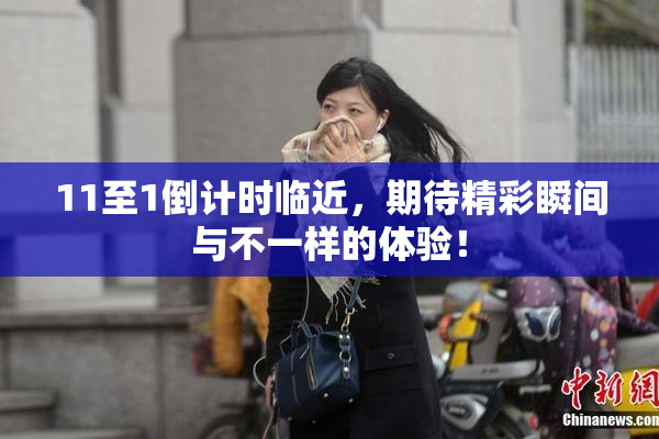 11至1倒计时临近，期待精彩瞬间与不一样的体验！