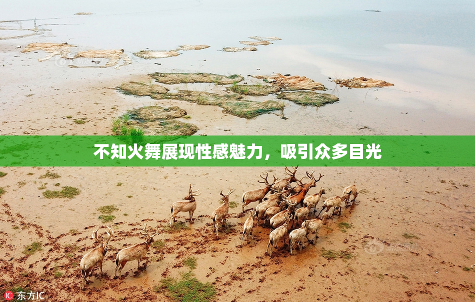 不知火舞展现性感魅力，吸引众多目光