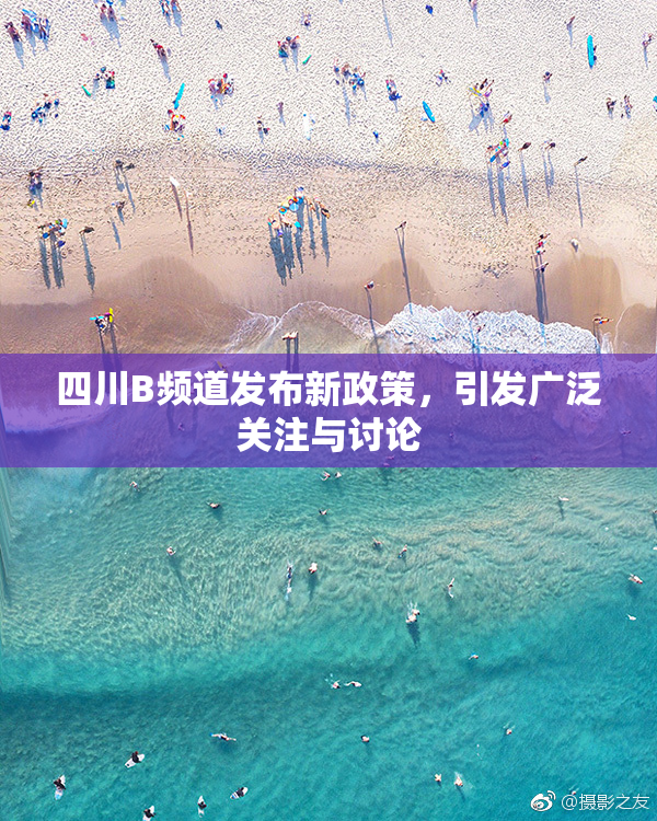 四川B频道发布新政策，引发广泛关注与讨论