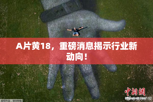A片黄18，重磅消息揭示行业新动向！