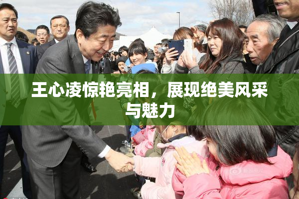 王心凌惊艳亮相，展现绝美风采与魅力