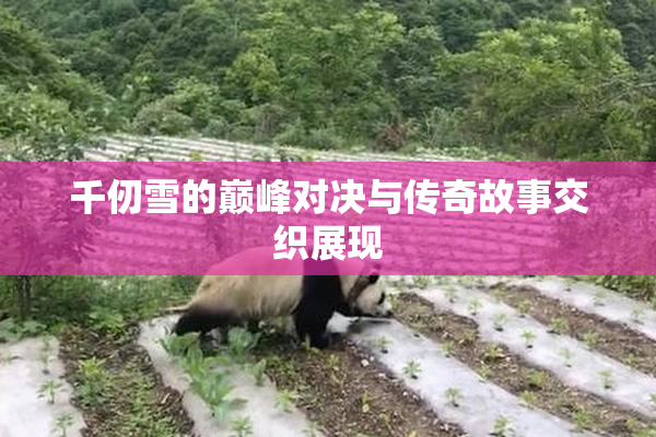 千仞雪的巅峰对决与传奇故事交织展现