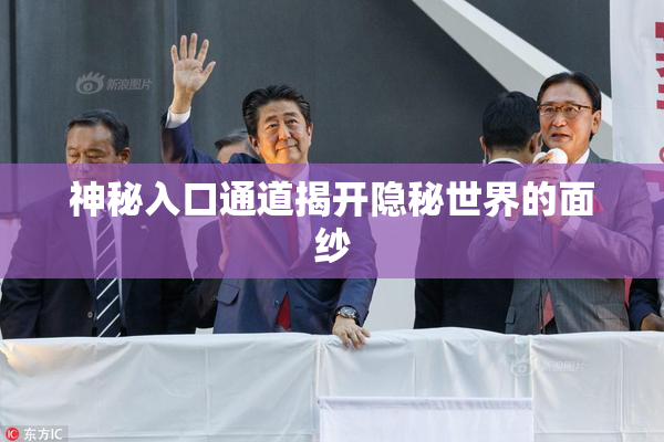 神秘入口通道揭开隐秘世界的面纱