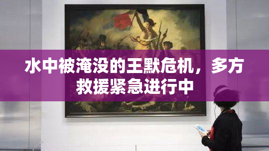 水中被淹没的王默危机，多方救援紧急进行中