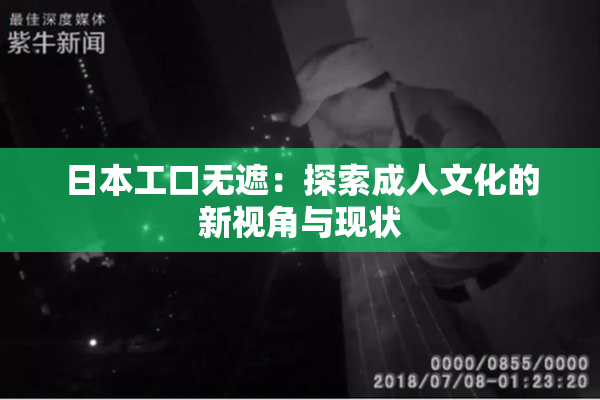 日本工口无遮：探索成人文化的新视角与现状