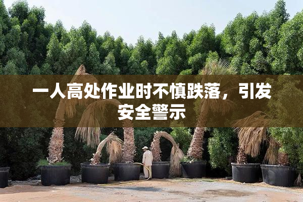 一人高处作业时不慎跌落，引发安全警示