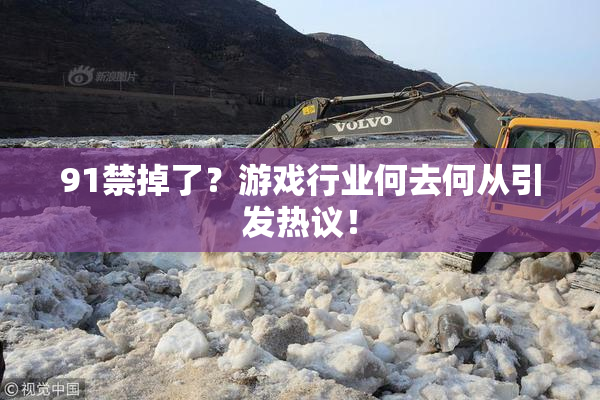 91禁掉了？游戏行业何去何从引发热议！