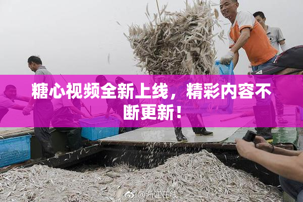 糖心视频全新上线，精彩内容不断更新！