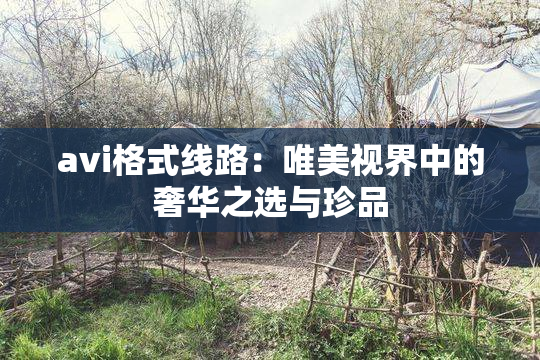 avi格式线路：唯美视界中的奢华之选与珍品