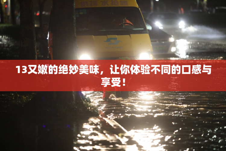 13又嫩的绝妙美味，让你体验不同的口感与享受！