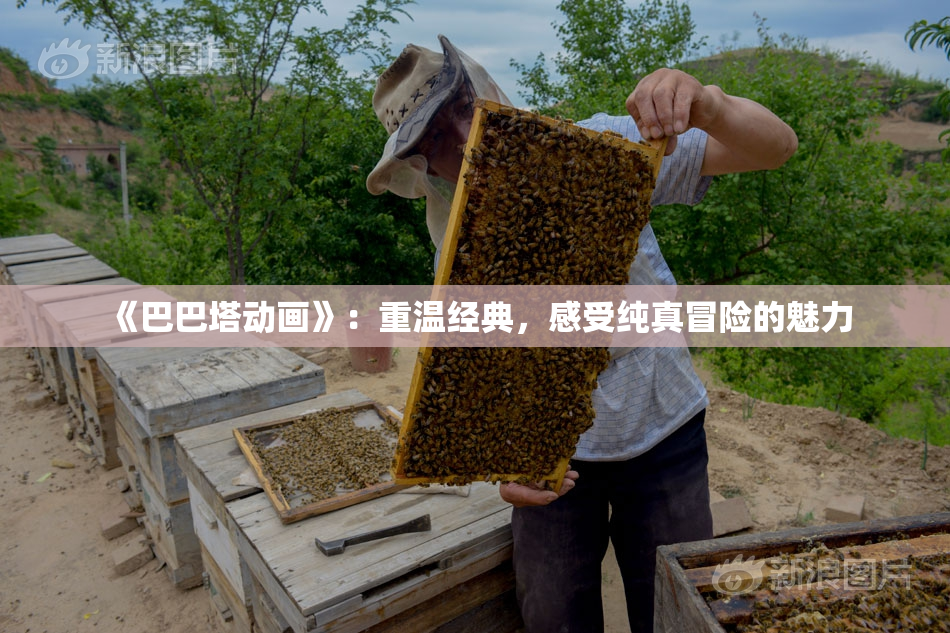 《巴巴塔动画》：重温经典，感受纯真冒险的魅力