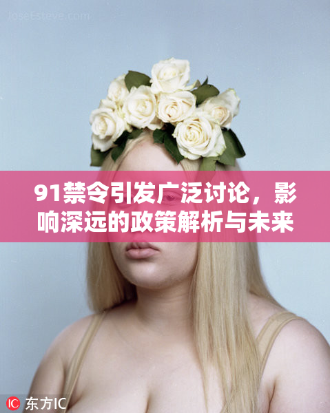 91禁令引发广泛讨论，影响深远的政策解析与未来展望