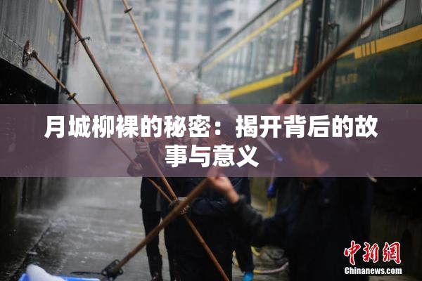 月城柳裸的秘密：揭开背后的故事与意义