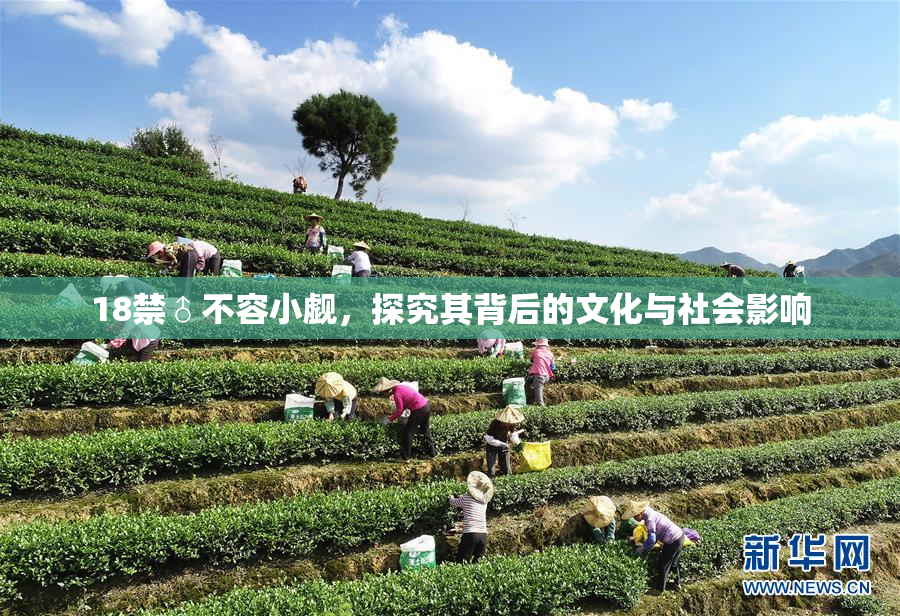 18禁♂不容小觑，探究其背后的文化与社会影响