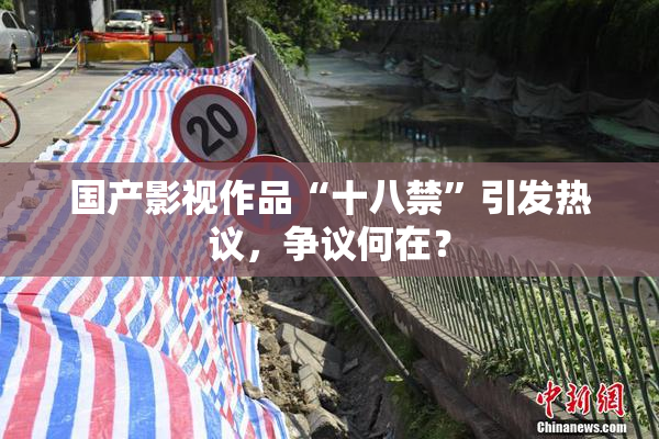 国产影视作品“十八禁”引发热议，争议何在？