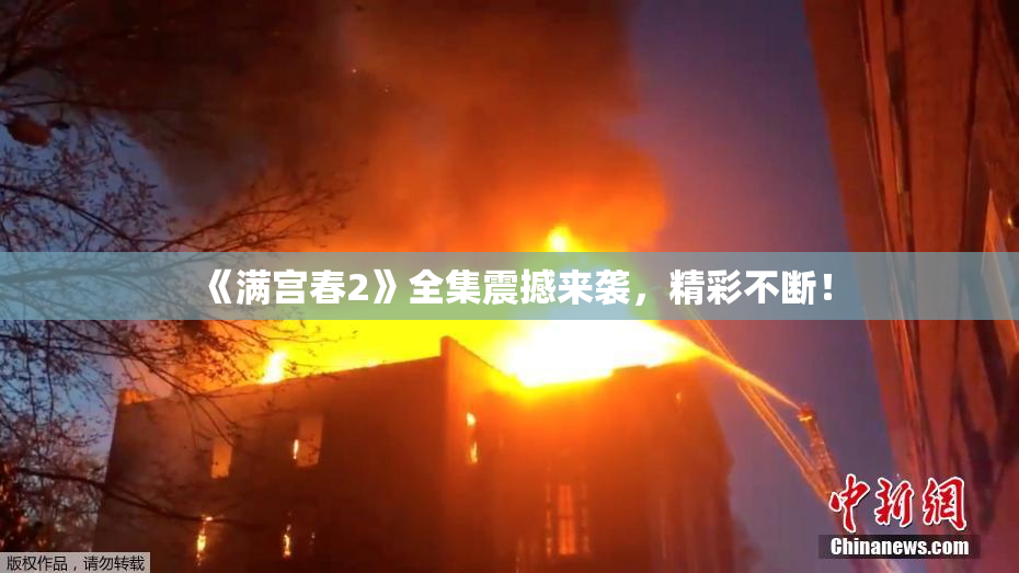 《满宫春2》全集震撼来袭，精彩不断！