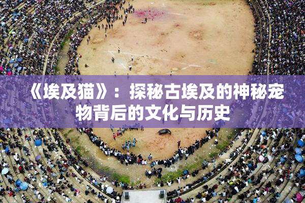 《埃及猫》：探秘古埃及的神秘宠物背后的文化与历史