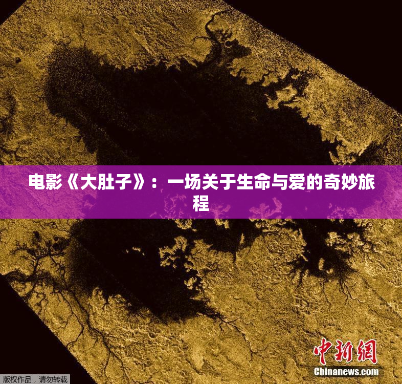 电影《大肚子》：一场关于生命与爱的奇妙旅程