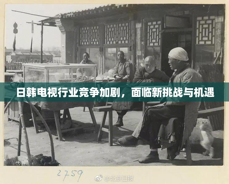 日韩电视行业竞争加剧，面临新挑战与机遇