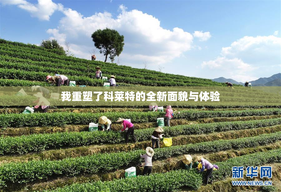 我重塑了科莱特的全新面貌与体验