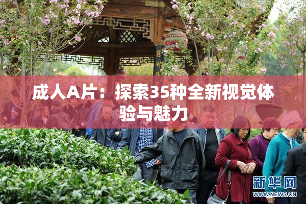成人A片：探索35种全新视觉体验与魅力