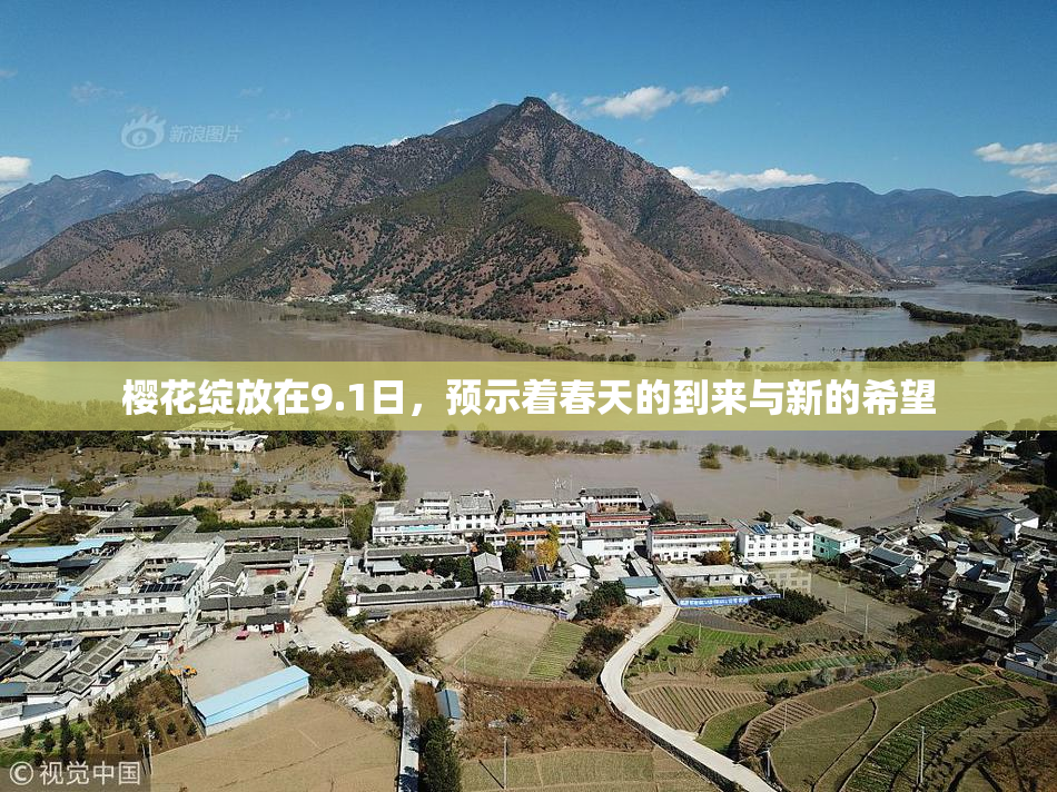 樱花绽放在9.1日，预示着春天的到来与新的希望