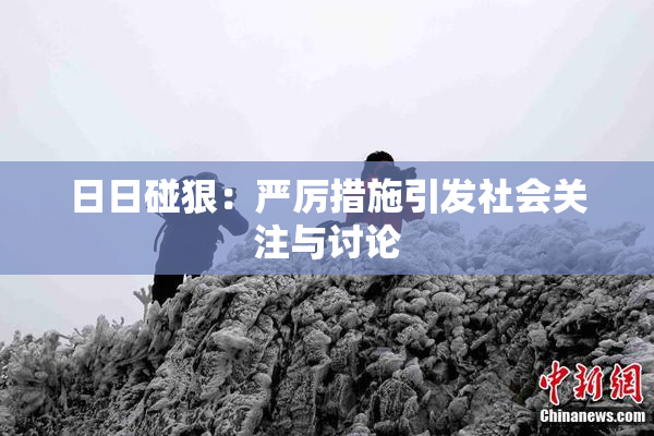 日日碰狠：严厉措施引发社会关注与讨论