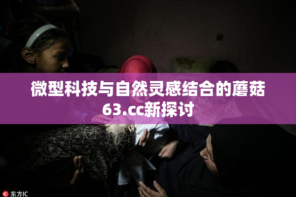 微型科技与自然灵感结合的蘑菇63.㏄新探讨