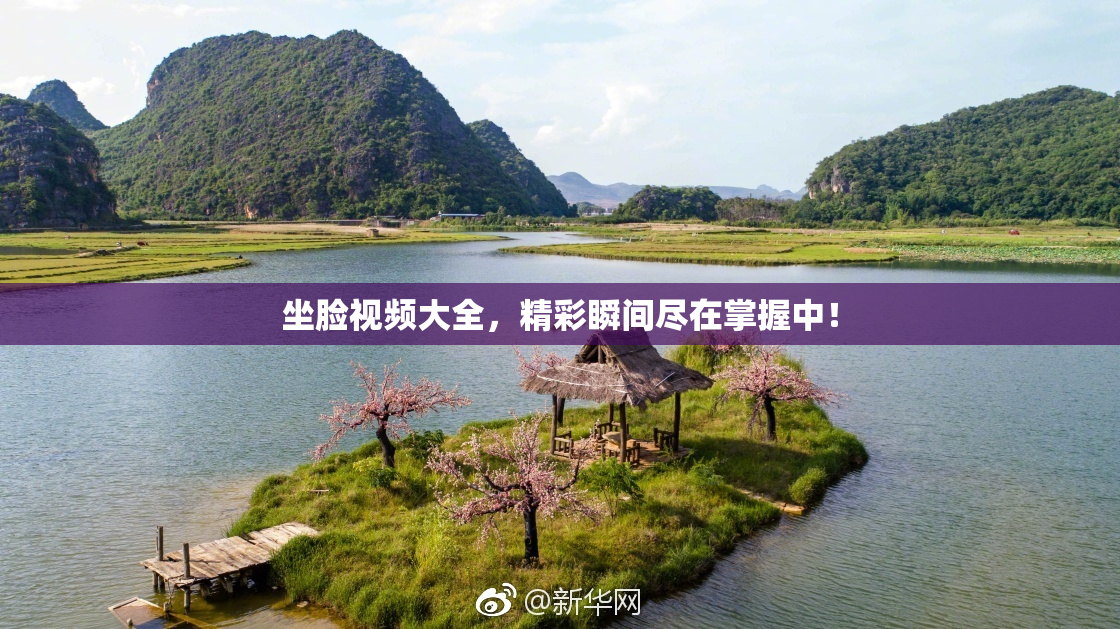 坐脸视频大全，精彩瞬间尽在掌握中！