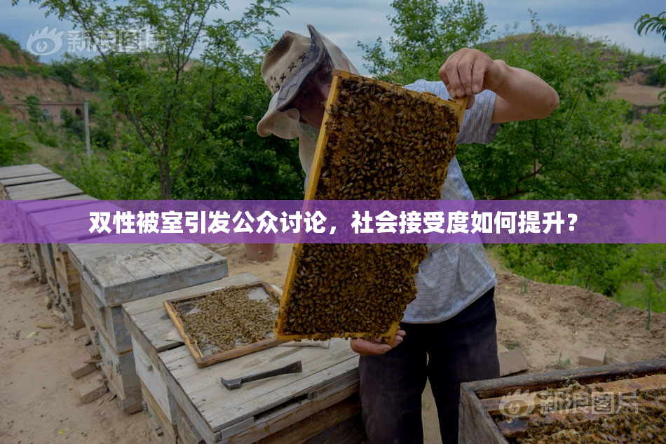 双性被室引发公众讨论，社会接受度如何提升？