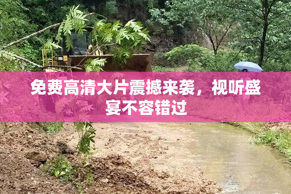 免费高清大片震撼来袭，视听盛宴不容错过