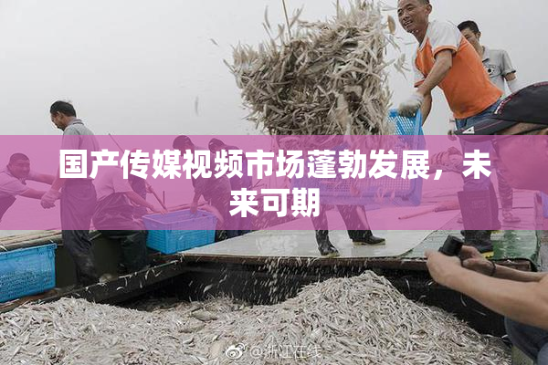 国产传媒视频市场蓬勃发展，未来可期